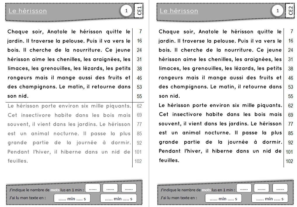 lecture fluence ce2 picot – texte picot ce1 ce2 fluence – G4G5
