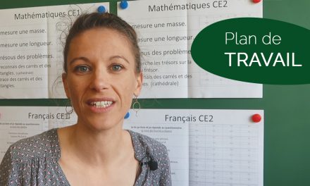 Plan de travail en classe élémentaire