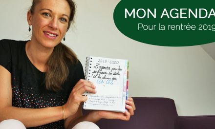 Agenda pour les professeurs des écoles : Mon bullet journal 2019/2020