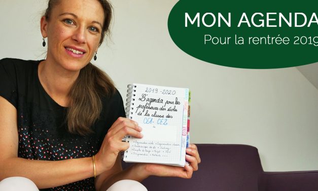 Agenda pour les professeurs des écoles : Mon bullet journal 2019/2020